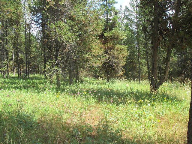 2nd image of 3944 Targhee Ln