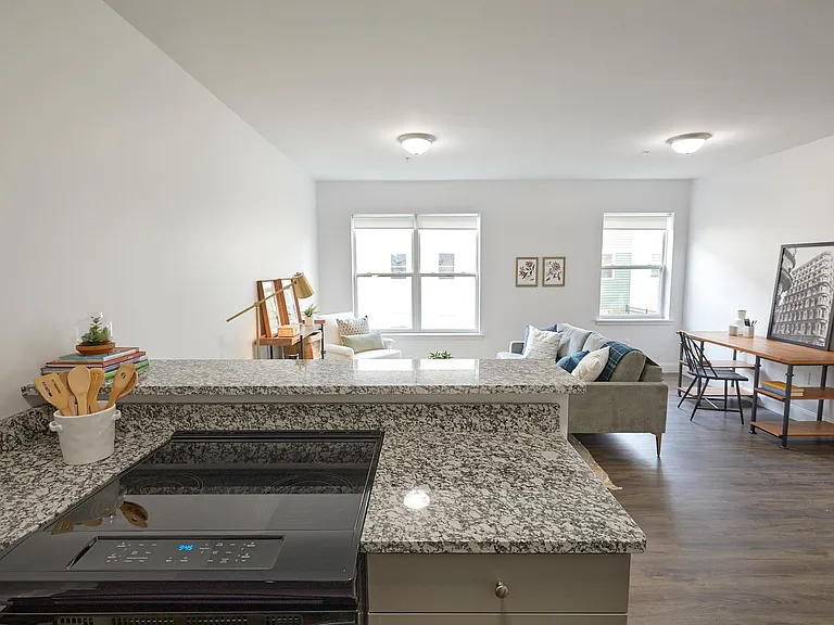 Large 1-Bedroom