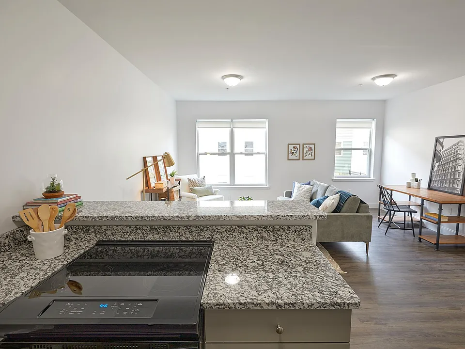 Large 1-Bedroom