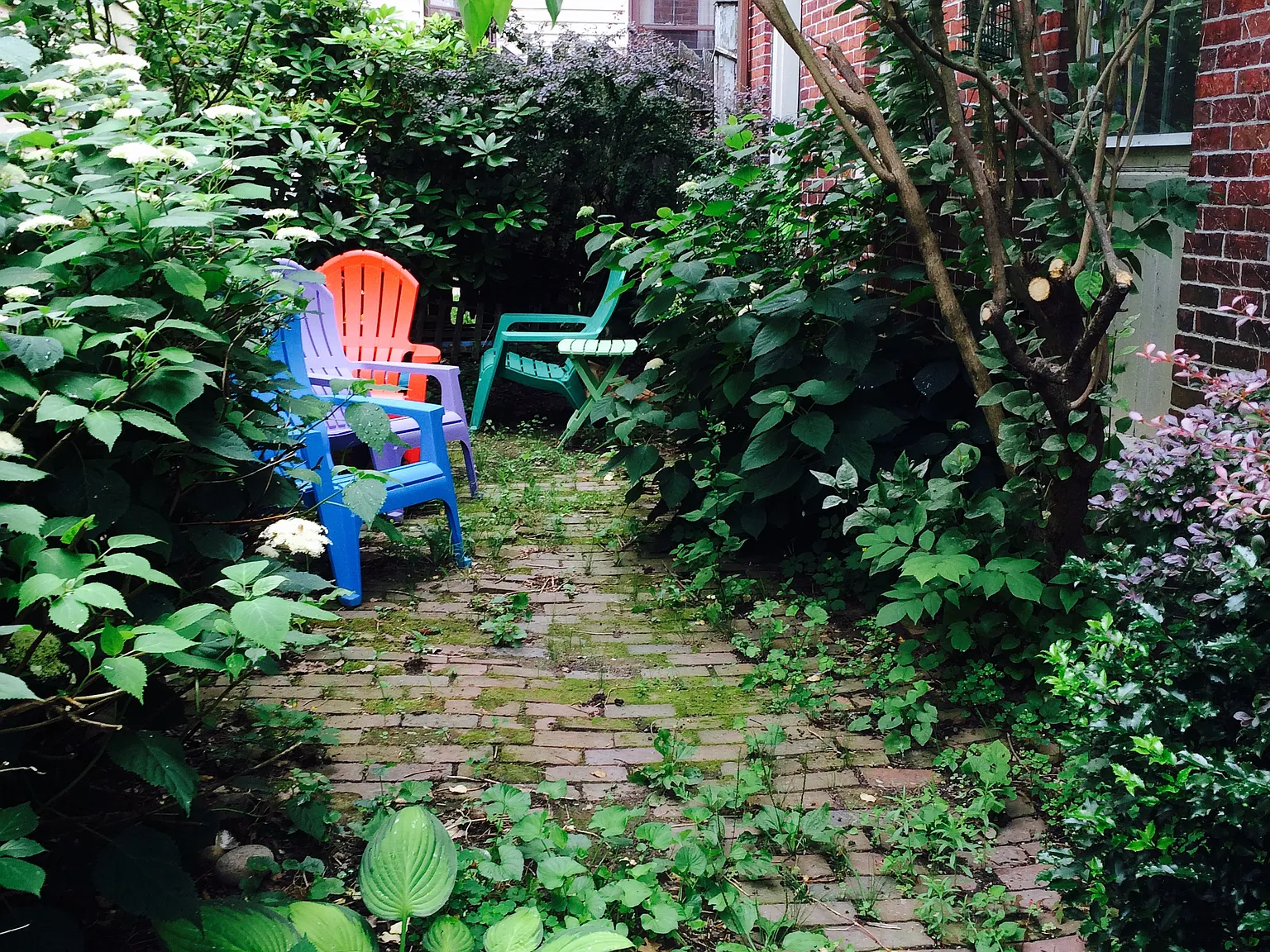1 bed, 1000 sqft, $2,250 — Photo 3