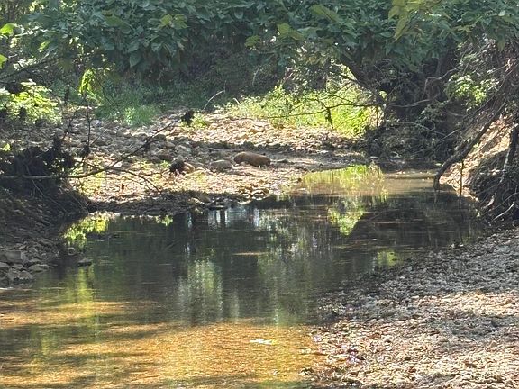 3rd image of 3922 County Road 534