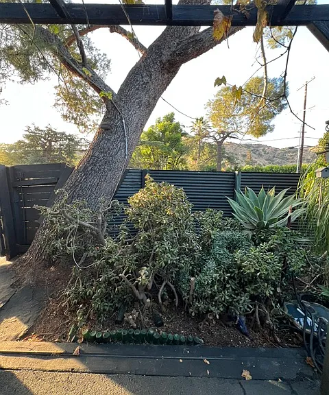 9912 La Tuna Canyon Rd — Photo 28