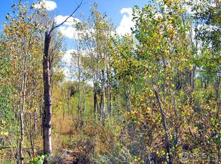 Sand Creek Park, Livermore, CO 80536