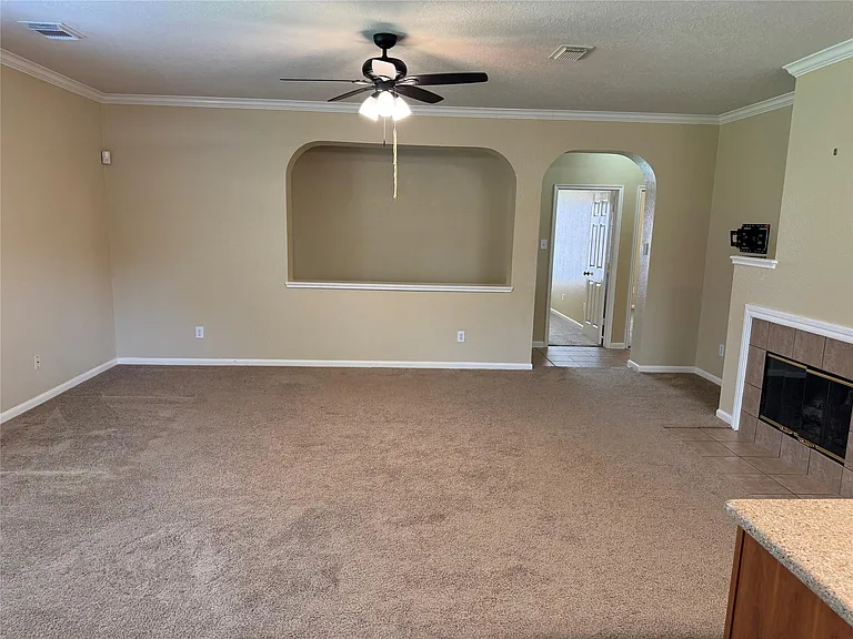 21307 Springbrook Hollow Ct — Photo 9
