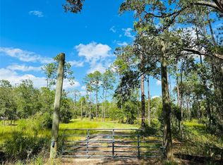 385 Smith Rd, Osteen, FL 32764