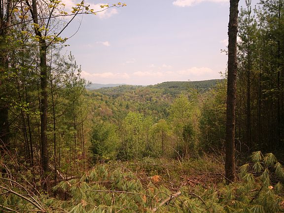 4th image of Maple Glen Lane