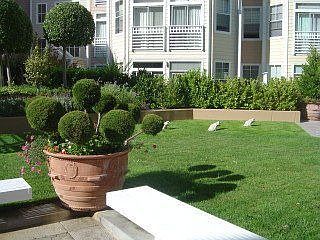 courtyard