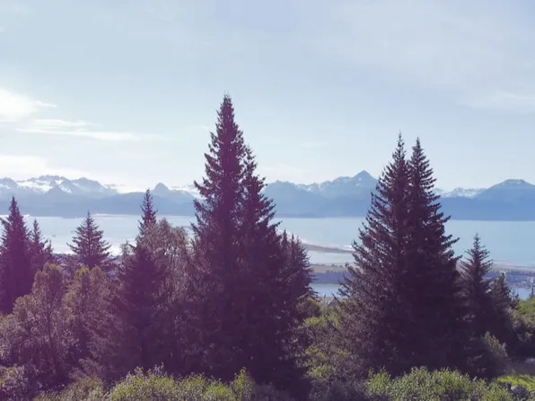 580 Fireweed Ave, Homer, AK 99603