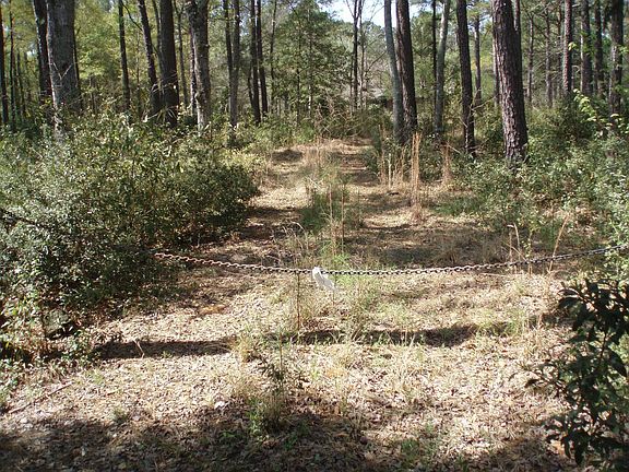 DRIVEWAY IN FROM PERSIMMON