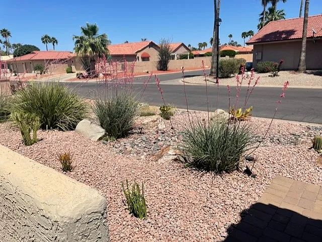 Front Yard