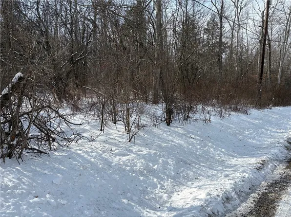 0 Townsend Rd, Watkins Glen, NY 14891