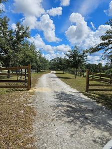 381 SW 398th St, Horseshoe Beach, FL, 32648