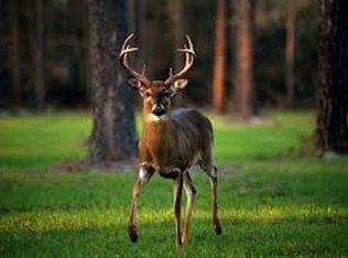 0 Upper Factory Creek Rd, Waynesboro, TN 38485