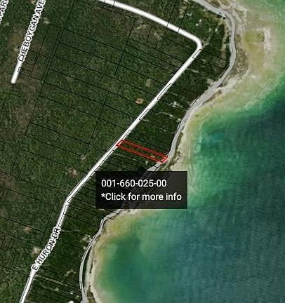 2nd image of 1382 E Huron Dr