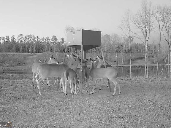 56th image of 4348 Marshall Stewart Rd SW