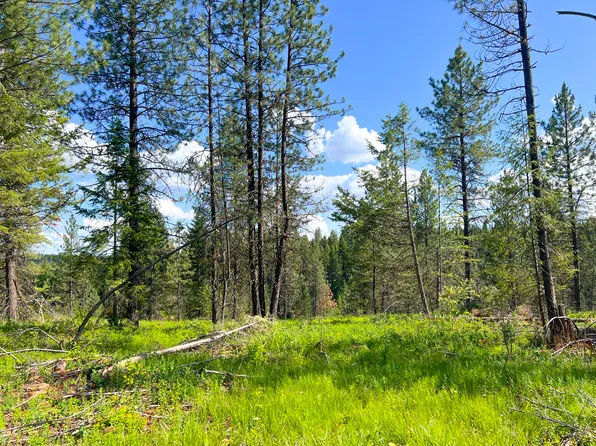 47X-2 Bowler Rd, Springdale, WA 99173