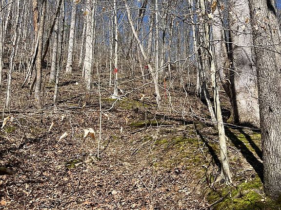 4th image of 0 Neat Rd