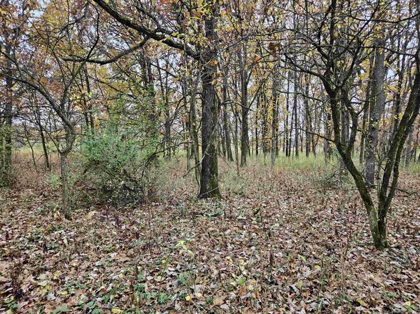 95.69 Acres Hwy #33, La Valle, WI 53941