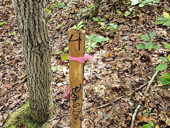 5th image of 0 Off Of Long Branch Rd