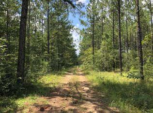 Joe Lee Rd, Lumberton, MS 39455