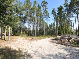 SW 320th Ave, Steinhatchee, FL 32359