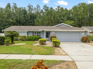 5330 Black Pine Dr, Tampa, FL 33624