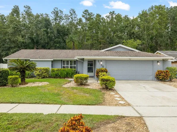 5330 Black Pine Dr, Tampa, FL 33624