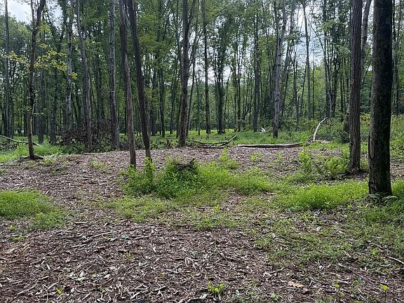 3rd image of 80 Lambs Gap Rd