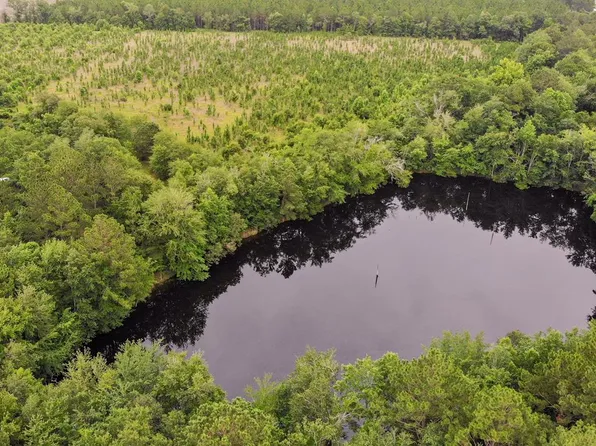 105 Red Bird Rd, Lumber City, GA 31549