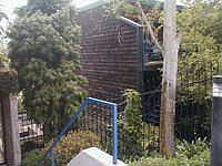 1st image of 3884 Fredonia Dr APT B