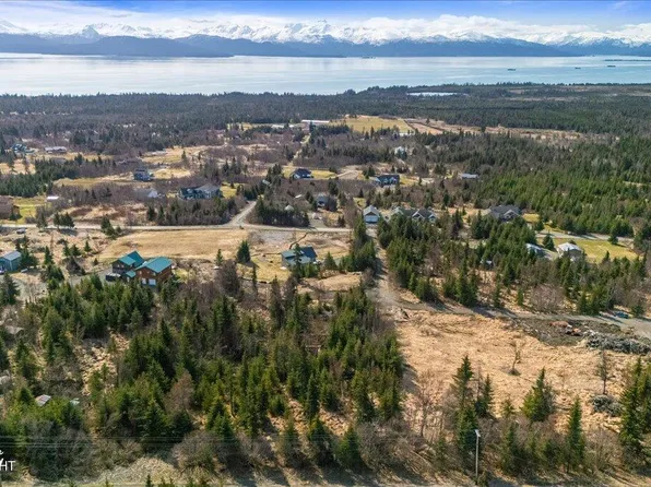 38410 Woody Cir, Homer, AK 99603