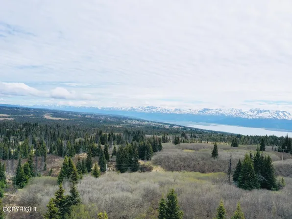 34750 Upland St N, Homer, AK 99603