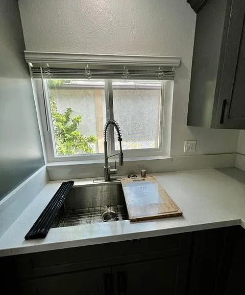 Custom kitchen sink/professional faucet with accessories