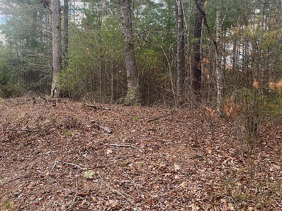 3rd image of 0 Blue Ridge Ln Lot 21