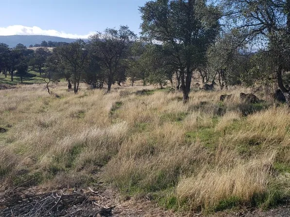 3556 Quail Hill Rd, Copperopolis, CA 95228