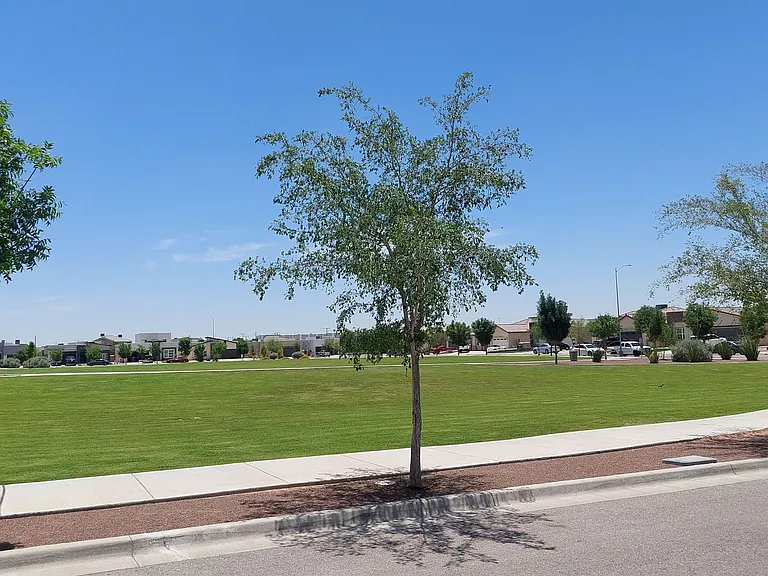 12349 Desert Wolf Ave — Photo 68