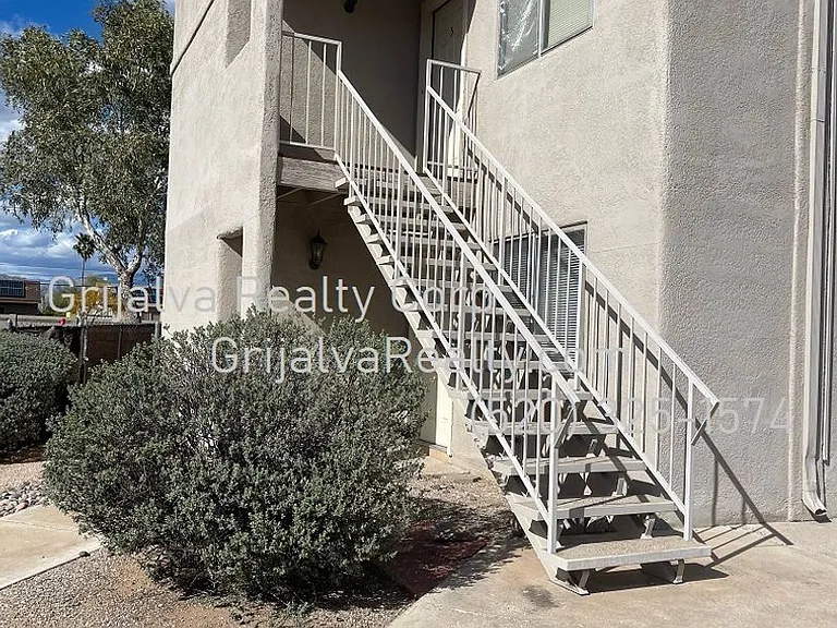 3801 Queen Palm Maintenance — Photo 2