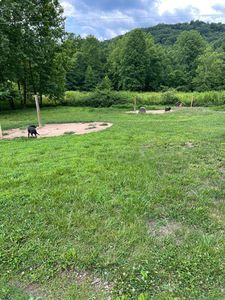 2853 Big Run Rd, Wallingford, KY, 41093