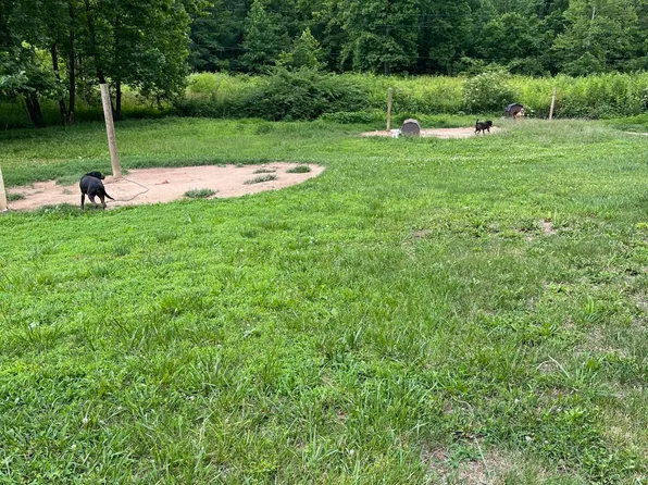2853 Big Run Rd, Wallingford, KY 41093