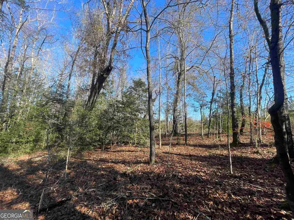 0 Hamlin Rd, Lizella, GA 31052