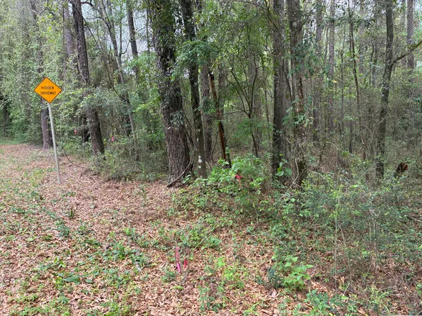 Na S County Hwy #183, Ponce De Leon, FL 32455