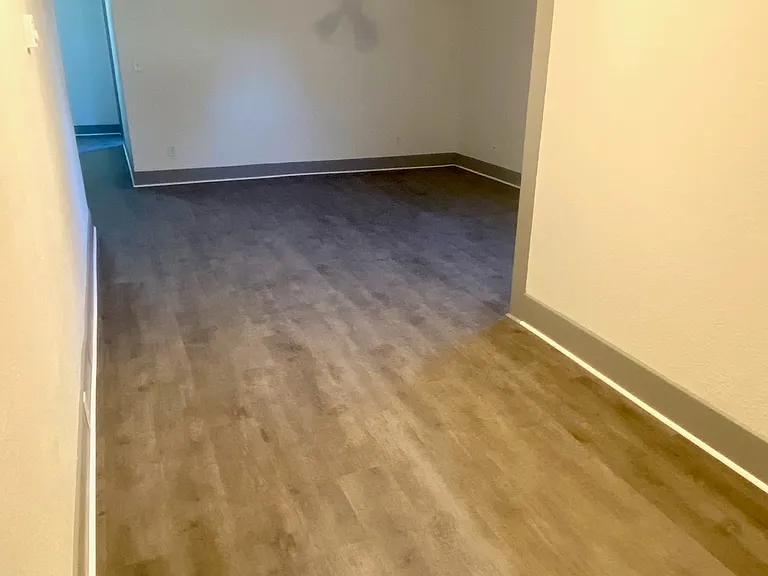 Living room, looking from kitchen