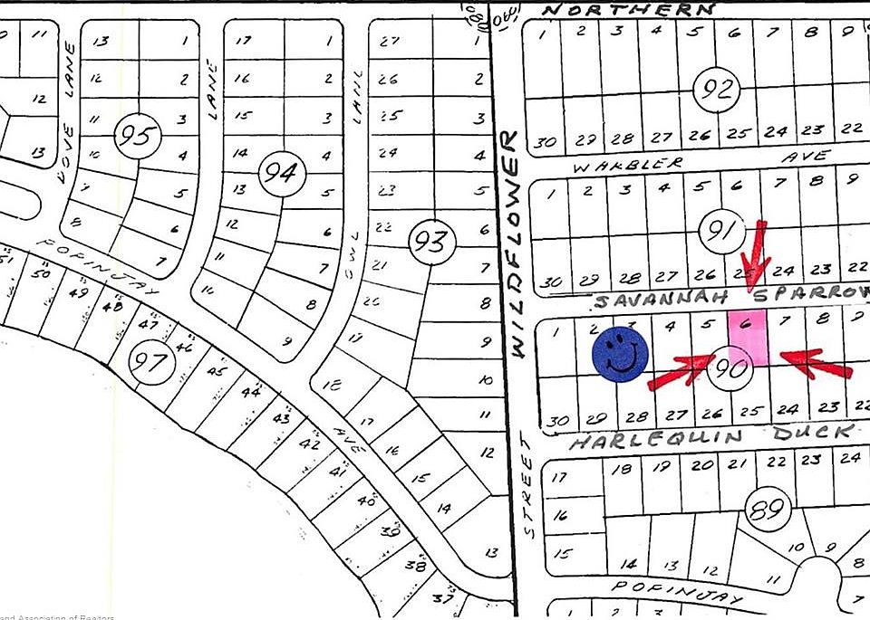 1st image of 3218 Savannah Sparrow Ave