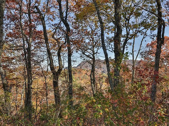 4th image of 84 Eagle Crest Trail Road
