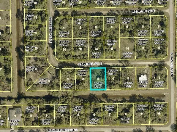 1238 Raphael St E Lot 50, Lehigh Acres, FL 33974