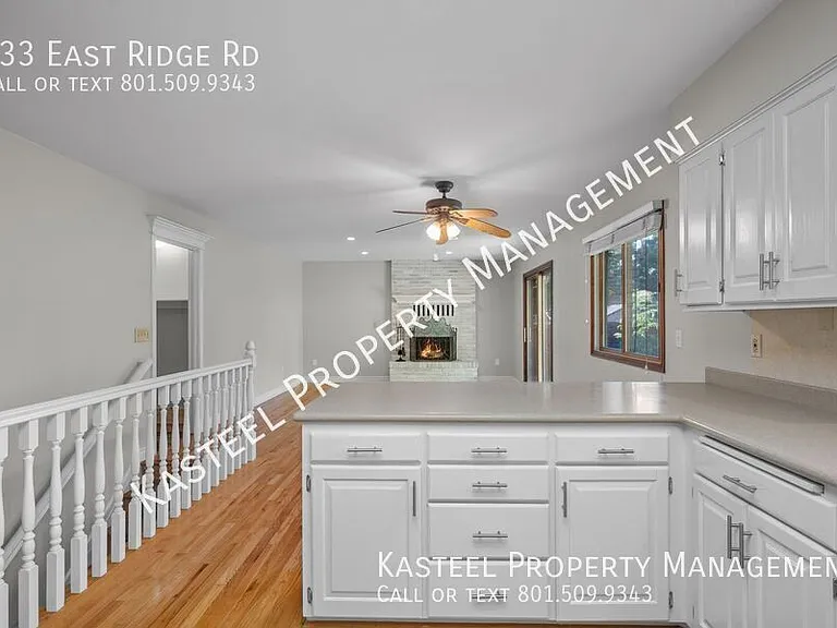 333 E Ridge Rd — Photo 5