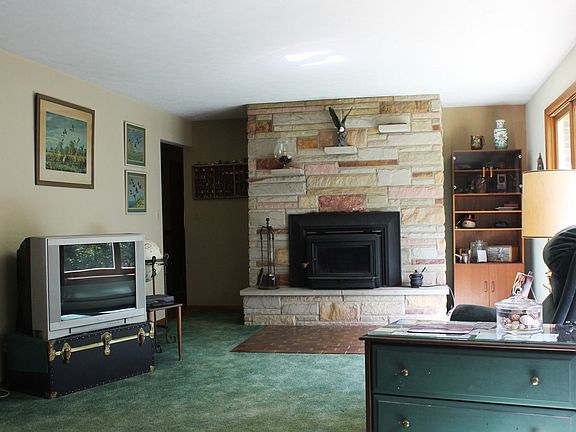 Wood burning fireplace