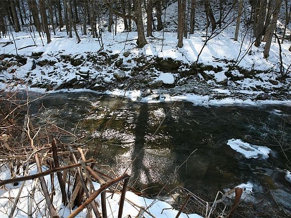 3rd image of 433 County Road 94