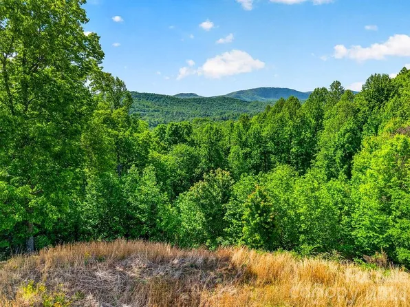 51 Falls Ln, Hendersonville, NC 28739