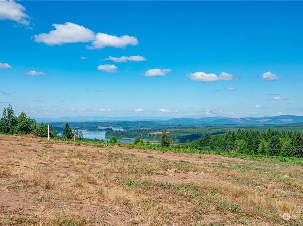 0 S Silver Lake Lot 5 Road, Castle Rock, WA 98611